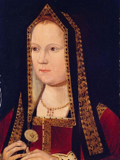 libri su elisabetz tudor|Elizabeth of York: A Tudor Queen and Her World.